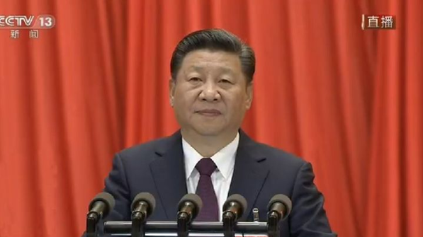 tapplay官网