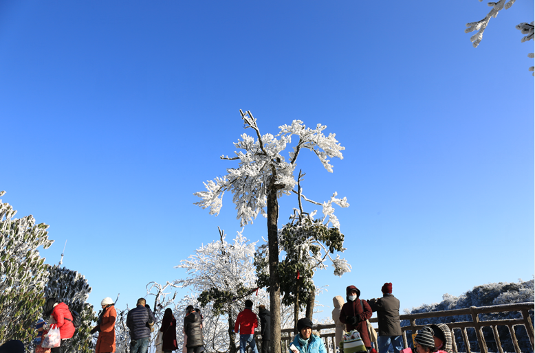 tapplay官网
